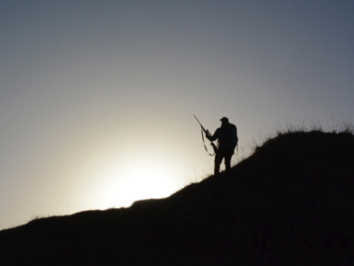 Het Taalteam met Lennart van Dijk