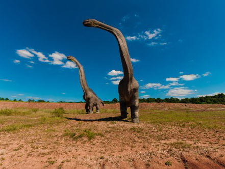 Een 25 meter lang skelet: de Diplodocus