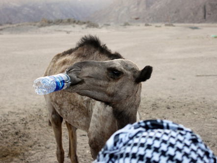 Kindervragen: Moet je nu warm of koud water drinken bij warm weer?