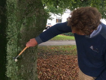 Eens Vandaag: boomexpert gevraagd te liegen