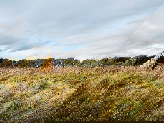 Friluftsliv, het betere Noorse buitenleven. Nu ook in Nederland.