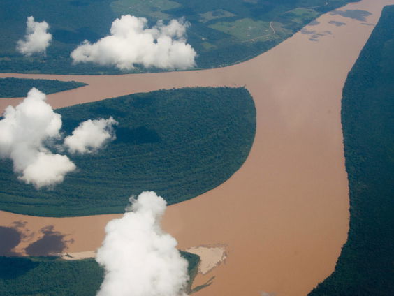Steeds meer bomenkap in het Amazonegebied