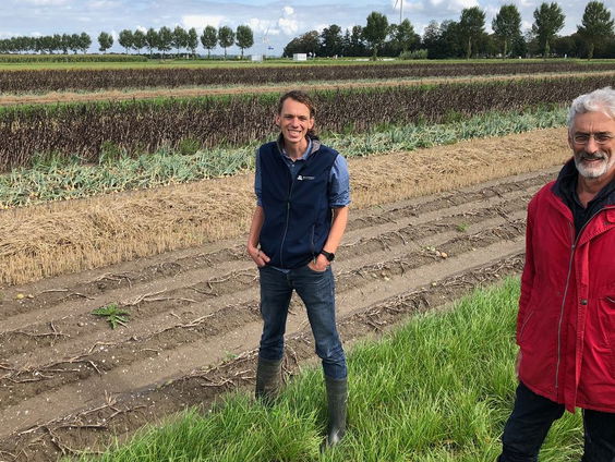 Strokenteelt is de oplossing