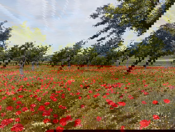 Duurzaam en toch rendabel boeren: het kán!