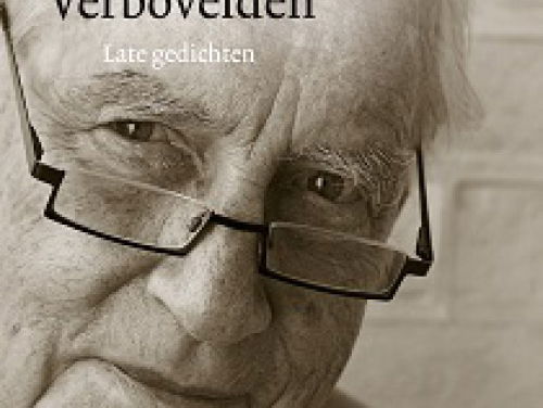 Laurens Ham over de taal van Sybren Polet