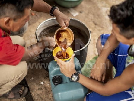 Ayahuasca wordt steeds populairder: wat doet het precies?