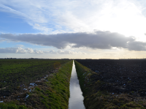 Breek met de oude politiek: op naar het zakenkabinet