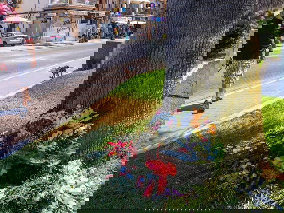 Onderzoek naar Carlo Heuvelman: Mallorca kijkt weg, en wil het toeristenseizoen redden