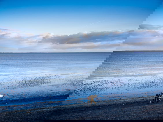 Vergunning gasboring Waddenzee moet verboden worden