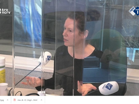 De Taalschat: Bloemen van het kwaad - Baudelaire vertaald door Menno Wigman