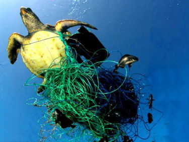 Stand.nl: Een wereld zonder plastic soep begint bij jezelf