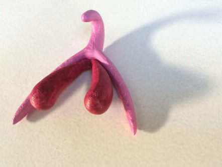 Wat weten we van de clitoris?