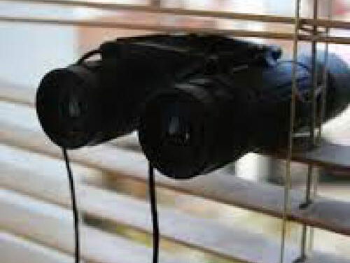 Kinderen undercover in Engeland