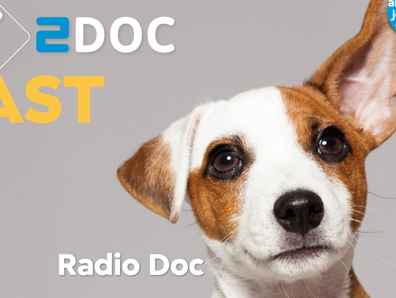 NTR Podcastprijs 2020: GeschiedLied | 1997, Saint Motel | Taro, Alt-J | Aarde in de stad