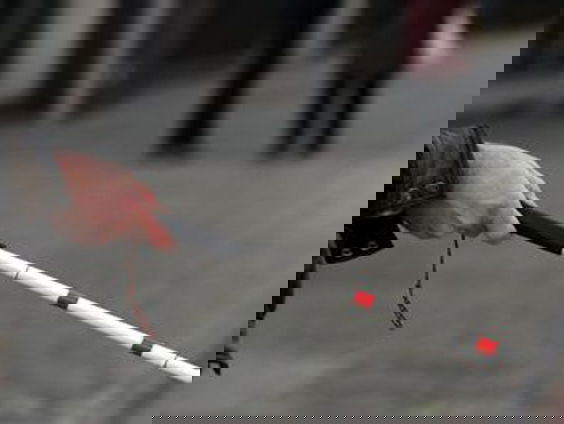 ‘Slechtzienden worden te snel afgeschreven voor een baan'