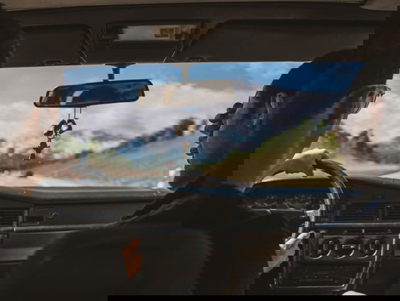 Heb jij last van wagenziekte? 'Geluid kan de oplossing zijn'