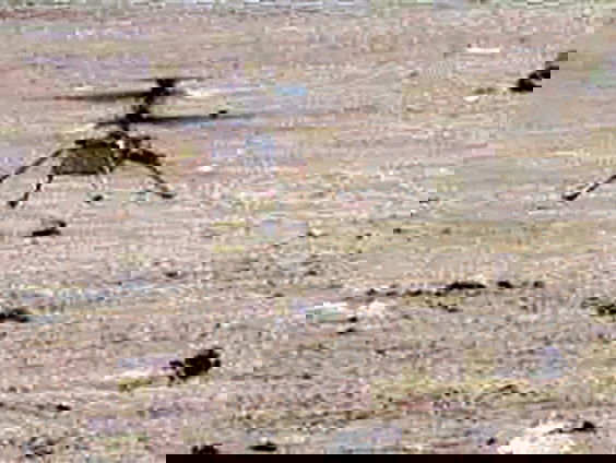 Van Gaza naar Mars: hoe een Palestijnse engineer zijn ruimtevaartdroom waarmaakte