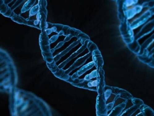 Jagen op genetische doping