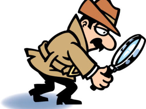 Privédetectives steeds populairder