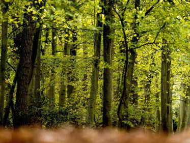 De slow cinema van Tarkovsky