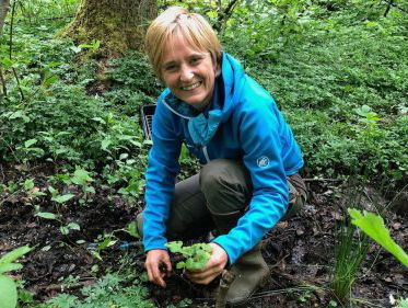 Knikkend nagelkruid wordt handje geholpen