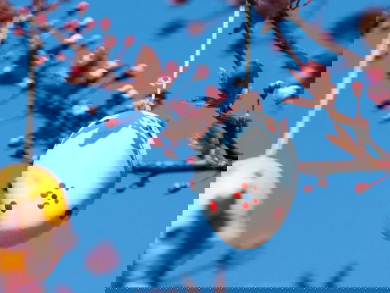 “Er moeten andere feestdagen komen in Nederland”