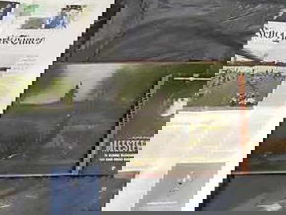 Vijf vragen over kunstrover Nils M. met Mick van Wely