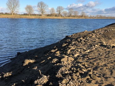 Vogels profiteren van lage stand Maas