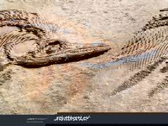 Kunstbeurs PAN scoort met natuurobjecten