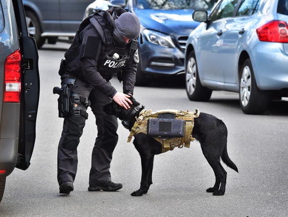 Zembla: 'Voor de inzet van politiehonden zijn geen echte regels'