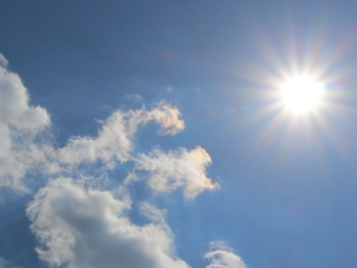 Het Taalteam met Frank van Pamelen