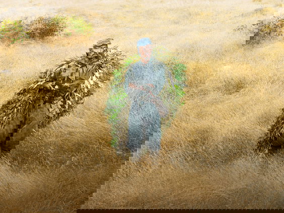 1e uur: de moderne wooncrisis, shortlist Libris Geschiedenis Prijs, veranderen naam uit slaventijd, en On ...