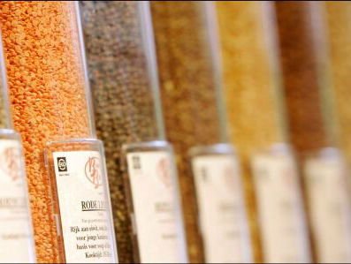 Zadenbank voorkomt uitsterven Nederlandse planten