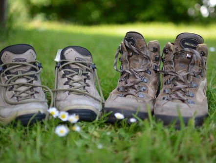 Burgemeester Ester Weststeijn trekt de wandelschoenen aan met inwoners van Rozendaal