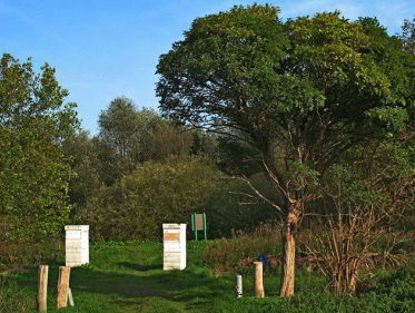 Het Volksbos in Vlaardingen bestaat 25 jaar