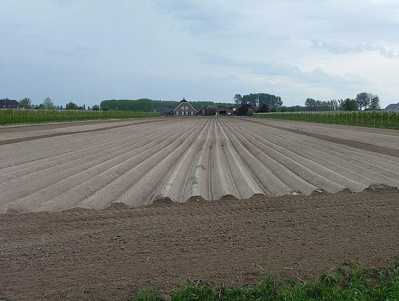 Nationale landbouwakkoord