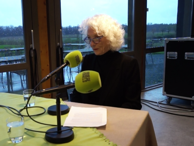 Column Nelleke Noordervliet: IJsland