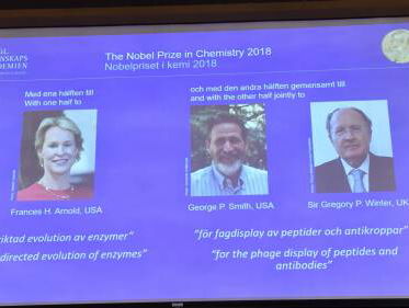 Nobelprijs voor Scheikunde voor Frances Arnold