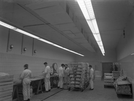 FNV wil dat we beter omgaan met onze arbeidsmigranten