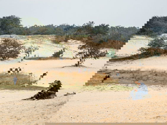 Zomerserie: wat zijn de parels van ons land?