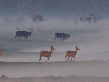 Minder grazers, meer toeristen naar OVP