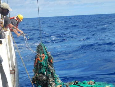 Plasticsoep in Stille Oceaan veel groter dan gedacht
