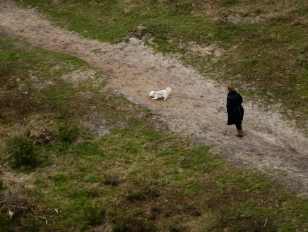 Presentatie nieuwe bundel van stadsdichter van Amsterdam gaat niet door
