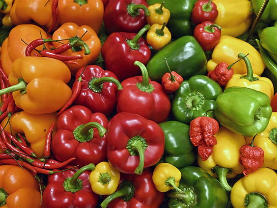 Peper challenge: hoe pittig zijn de in Nederland geteelde pepers?