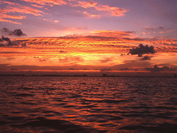 Alle hitterecords zijn verbroken deze week. Hoe gaan we daar op anticiperen in de toekomst?