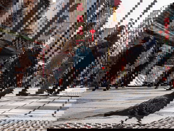 Vliegende ratten die vrede brengen