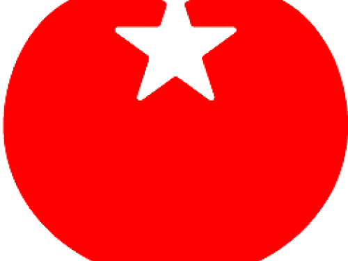 Wat is er loos bij de SP?