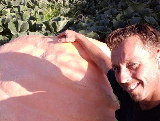 Het is bijna zover: het NK Pompoenkweken 2020