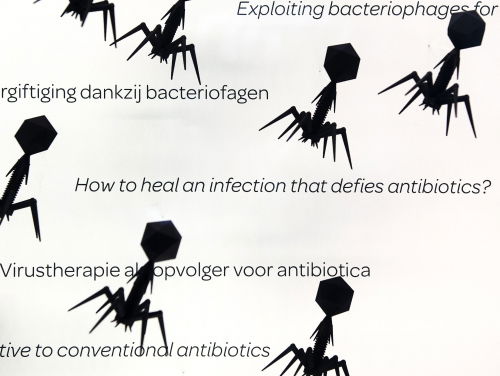UMC Utrecht start onderzoek naar behandeling van infecties met bacteriofagen