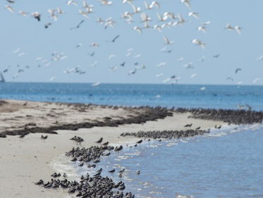 De bodem onder de Banc d'Arguin